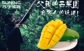 搭上農(nóng)村“互聯(lián)網(wǎng)+”快車 蘇寧金融推“雙向”農(nóng)業(yè)眾籌-鋒巢網(wǎng)