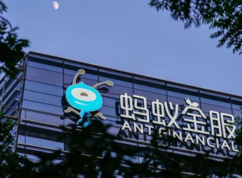 螞蟻競購速匯金，引發游說戰？-鋒巢網