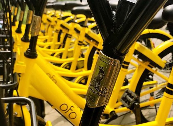 鳳凰自行車獲ofo500萬輛采購大單 造一輛車只賺8元-鋒巢網