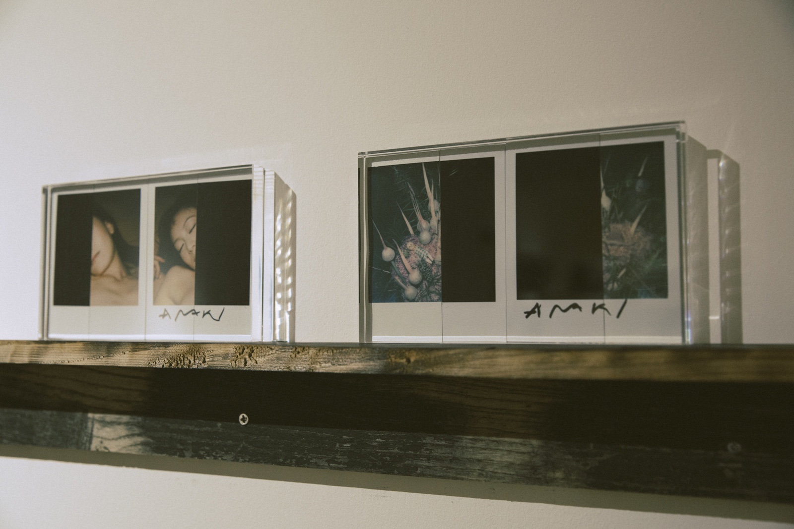 走進荒木經惟，香港歷來最大型的攝影作品展-鋒巢網