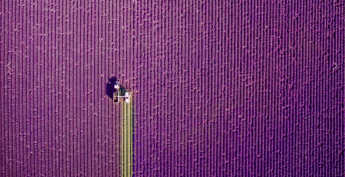 以上帝的視角：2017最佳無人機攝影大賽獲獎作品-鋒巢網