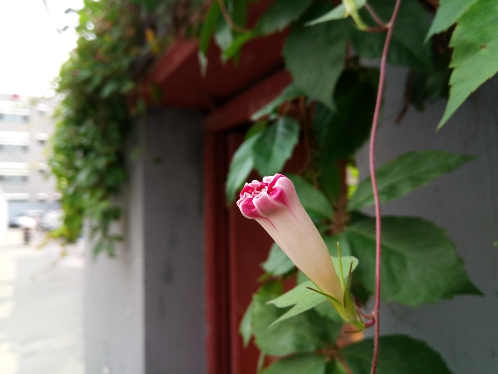 5000mAh大容量電池+雙鏡頭設計 華碩電神4評測-鋒巢網