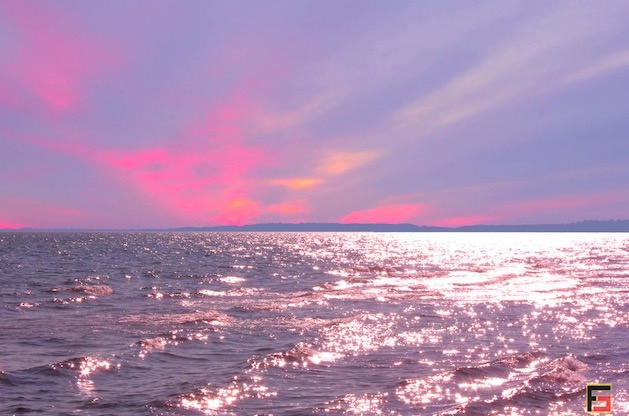 烽巢網辣評：2017年度最具科技價值『自媒體』榜單-鋒巢網