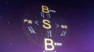 從B2B時代到S2B時代,決勝點(diǎn)在“供給物”上-鋒巢網(wǎng)