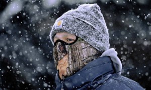 資本冰河期，等待新世代的第一縷春風-鋒巢網