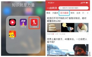 最全答題神器評測，如何優雅穩妥的瓜分百萬現金呢？-鋒巢網