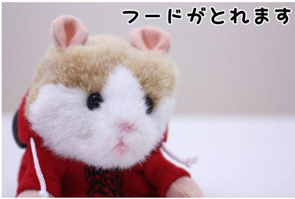 9.9元包郵 這賣的是貨還是工業垃圾?-鋒巢網