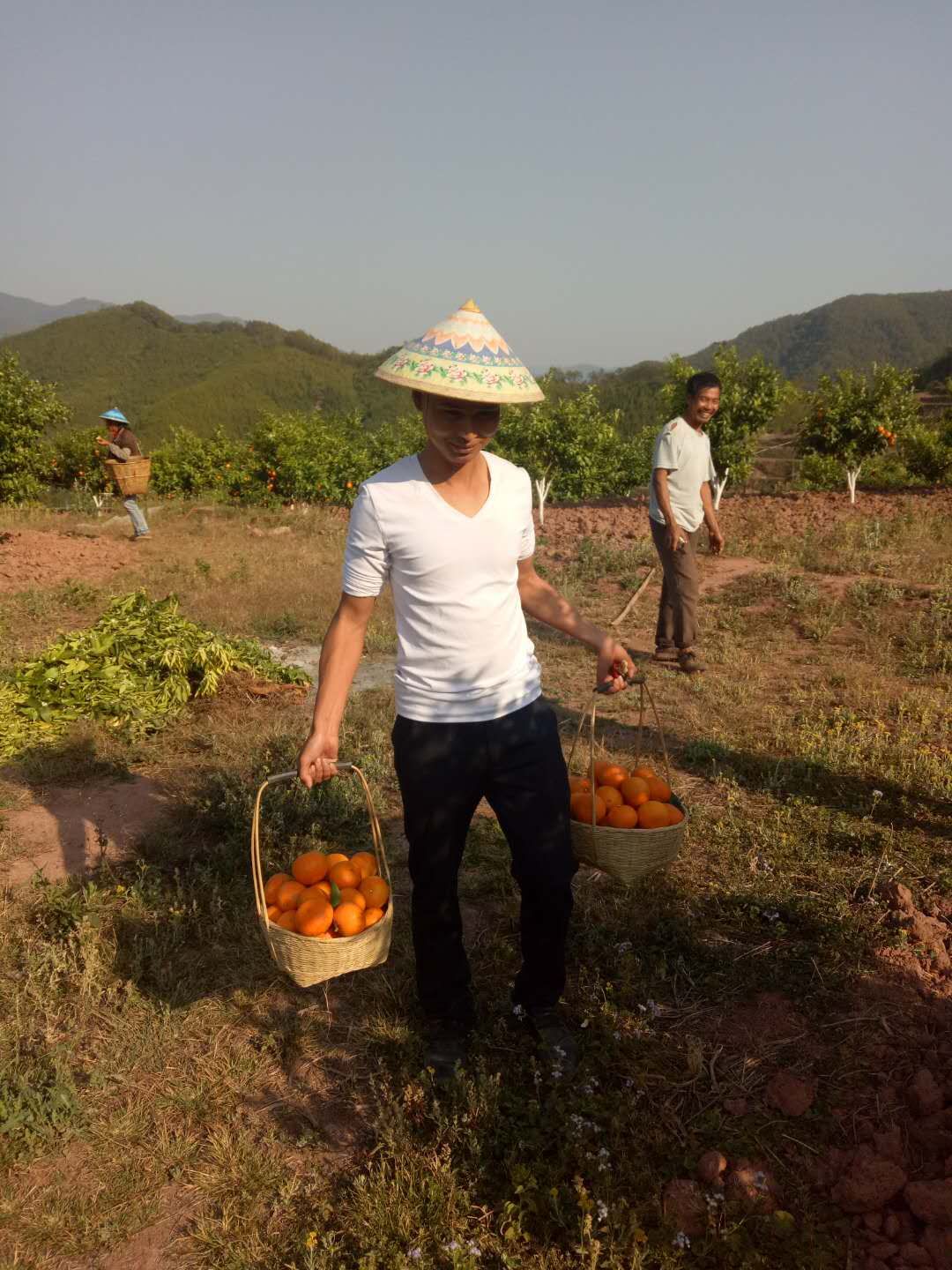 “哈尼郭富城”開史上海拔最高蘇寧零售云門店，只因“多看你一眼-鋒巢網(wǎng)