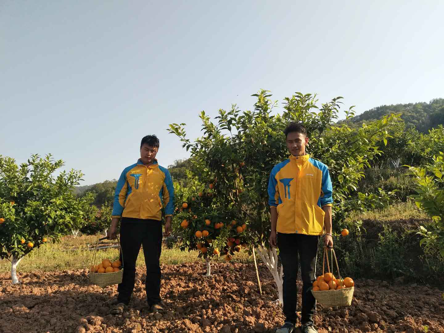 “哈尼郭富城”開史上海拔最高蘇寧零售云門店，只因“多看你一眼-鋒巢網(wǎng)