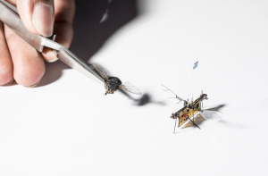 仿生昆蟲以激光光束為動力飛行-鋒巢網