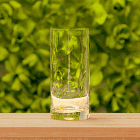 這次減肥,我們做了一項(xiàng)決定-鋒巢網(wǎng)