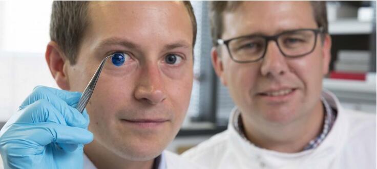 科學(xué)家們利用人體細(xì)胞打印出了最先進(jìn)的人工角膜-鋒巢網(wǎng)