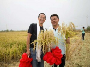 新零售時代，鮮稻屋如何脫穎而出？-鋒巢網