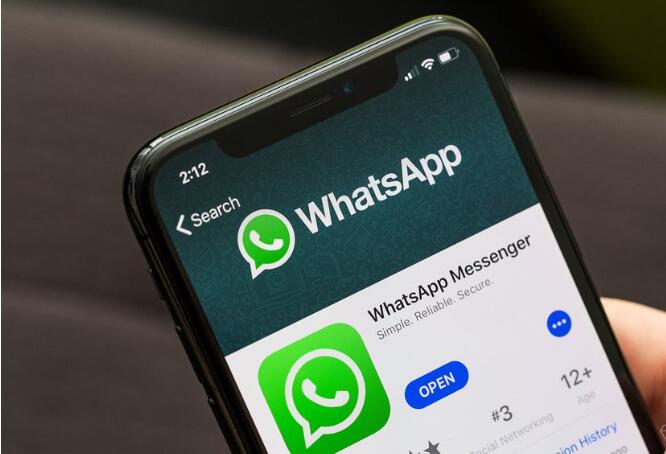 WhatsApp的新群組視頻通話功能現已上線-鋒巢網