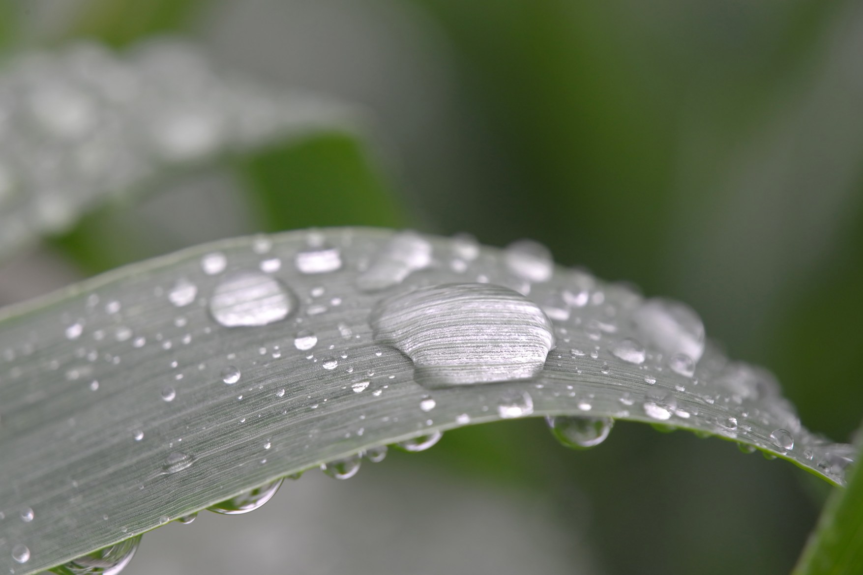 Leica 發(fā)布 Elpro 52 高品質(zhì)近攝鏡頭，工藝精湛，堪稱(chēng)完美！-鋒巢網(wǎng)