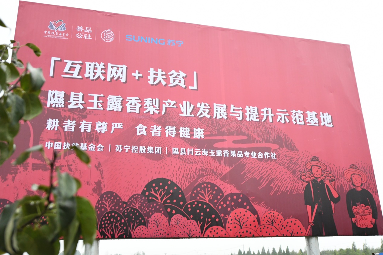 聚焦鄉(xiāng)村振興、聚力精準(zhǔn)扶貧：蘇寧“一二三四五”戰(zhàn)略構(gòu)建鄉(xiāng)村振興新模式-鋒巢網(wǎng)