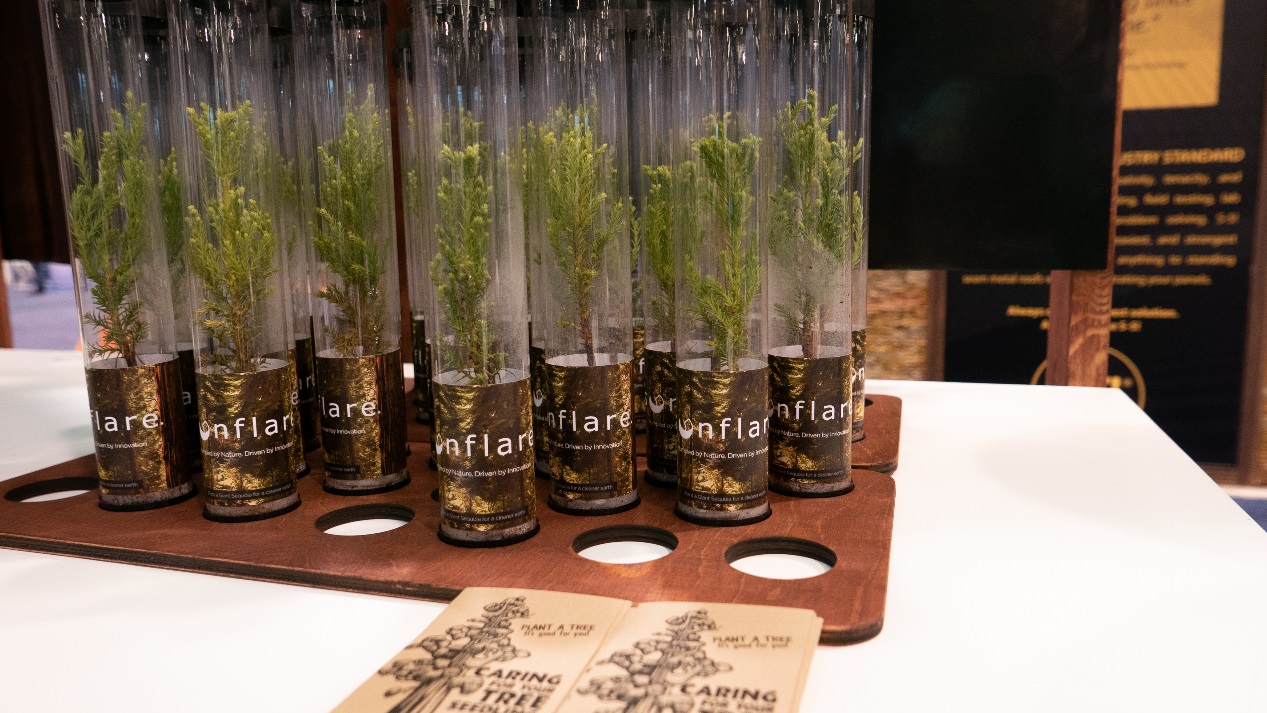 Sunflare悄然崛起,中國太陽能科技炸裂SPI-鋒巢網