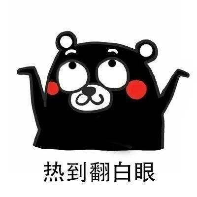 藏龍臥虎！迅雷鏈沙龍現場驚現眾多技術很牛的小姐姐-鋒巢網