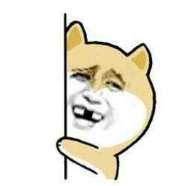 藏龍臥虎！迅雷鏈沙龍現場驚現眾多技術很牛的小姐姐-鋒巢網