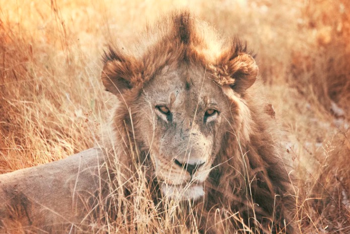 為什么今日頭條故意泄露用戶隱私？-鋒巢網(wǎng)