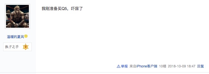 奧迪Q5禍國殃民 已經多名車主得白血病-鋒巢網