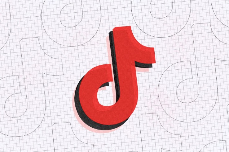 抖音在印度不再被禁止-鋒巢網