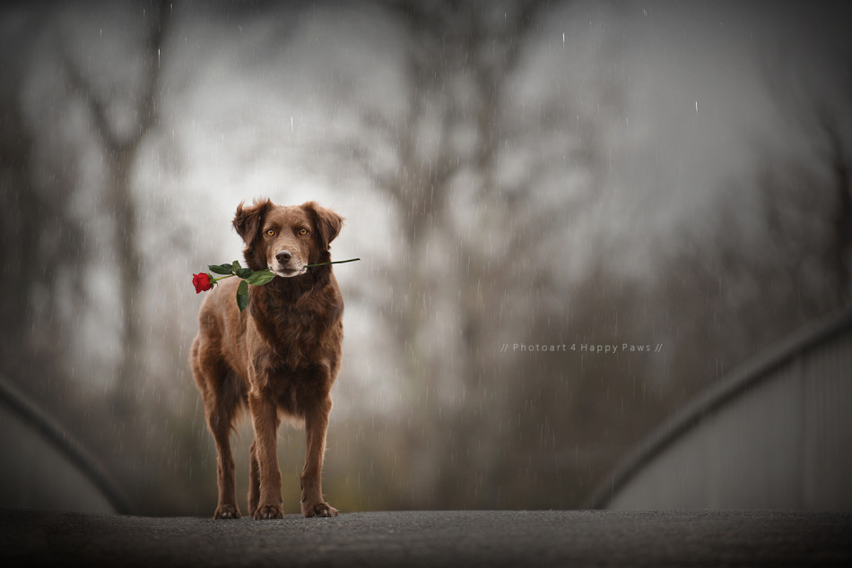 現(xiàn)在的年輕人，連戀愛都不想談了-鋒巢網(wǎng)