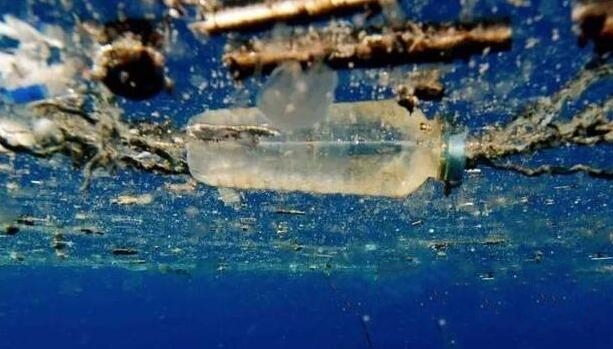 塑料垃圾流浪記-鋒巢網