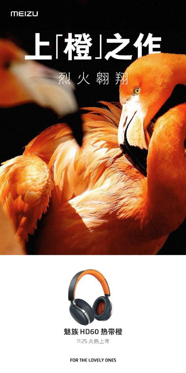 魅族HD60熱帶橙上線,11月25日開賣-鋒巢網