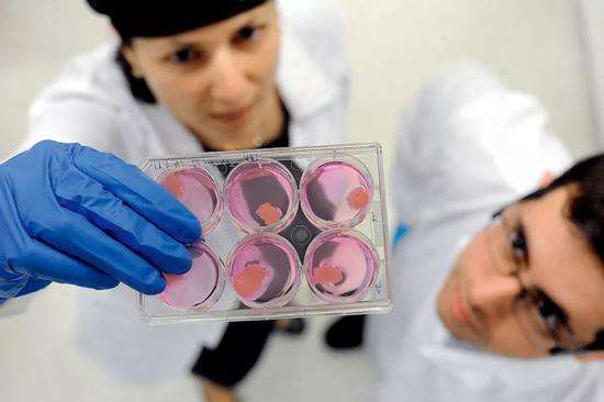 有望搶占肉類市場(chǎng)？人造肉電商平臺(tái)開(kāi)售-鋒巢網(wǎng)