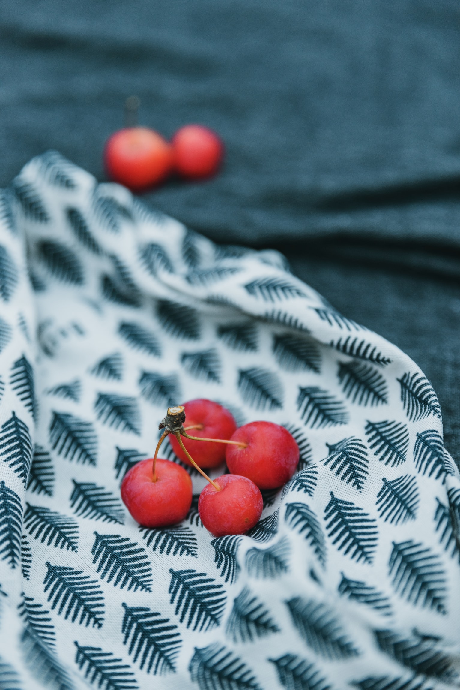 OPPO換馬甲清庫存遭vivo暗諷，手足相殘節(jié)奏真香-鋒巢網(wǎng)