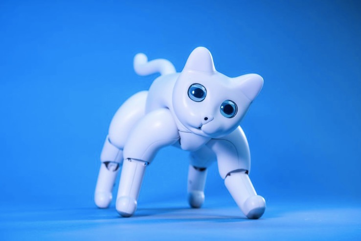 你可以在Kickstarter上找到一只機器貓-鋒巢網