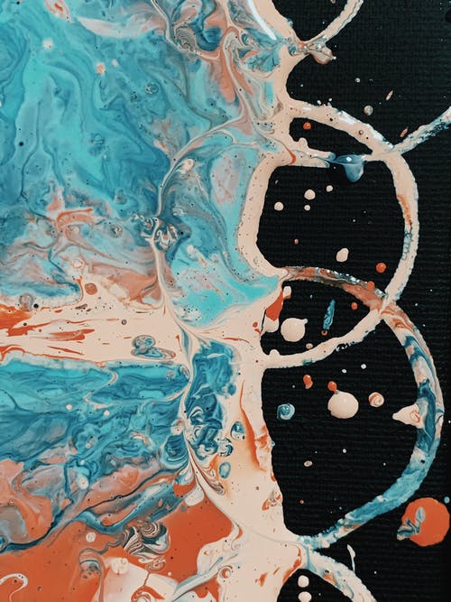 雙羅CP:一個賣情懷,一個賣焦慮-鋒巢網