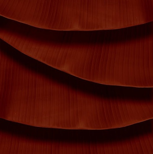 圍攻帶貨“黑主播”-鋒巢網(wǎng)