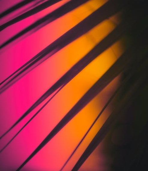 魅族沒(méi)有“后悔藥”-鋒巢網(wǎng)