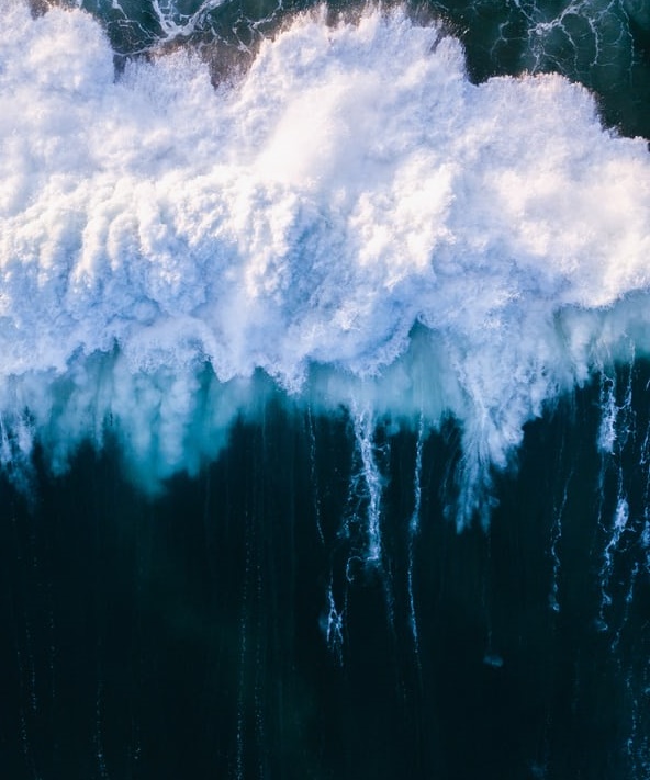 互聯網需要差評-鋒巢網