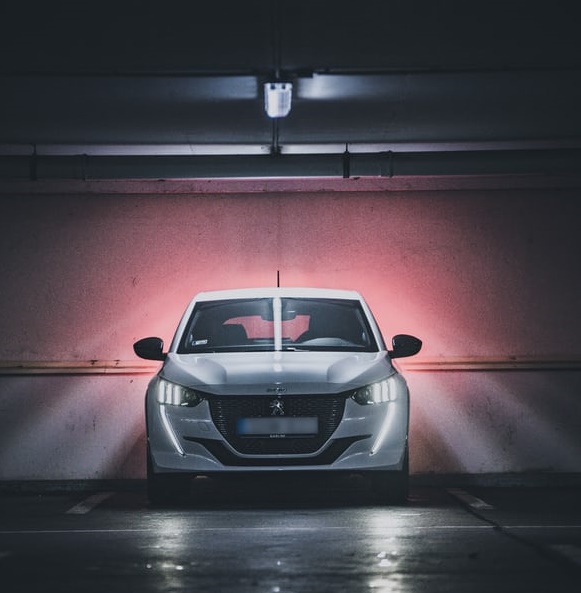 新造車穿越生死線-鋒巢網