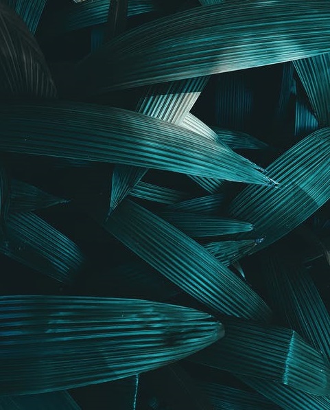 復盤互聯網出海2020-鋒巢網