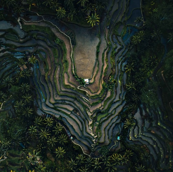 誰靠茅臺賺了100億？-鋒巢網