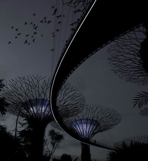 十年前“問”知乎，十年后“看”知乎-鋒巢網(wǎng)