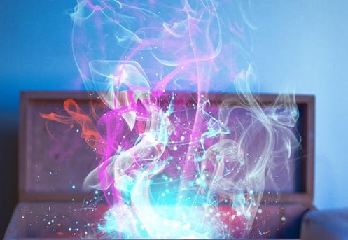 棄子B站-鋒巢網