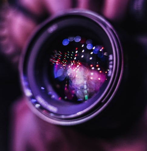 辛巴急了-鋒巢網