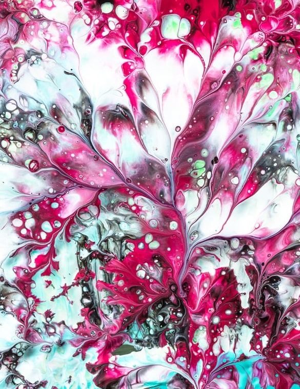 “火豹“的女子電競正當紅-鋒巢網