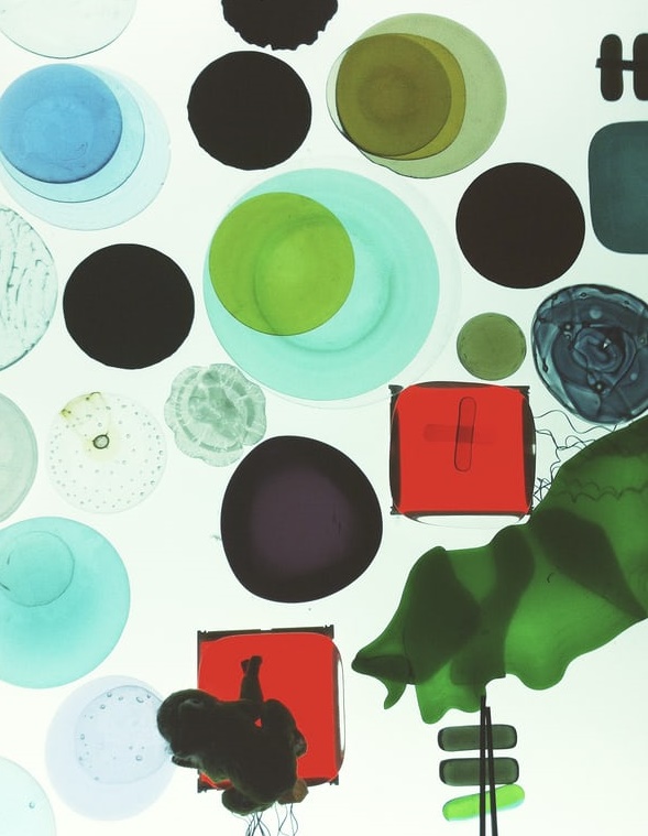 在線教育，“剩”者為王-鋒巢網