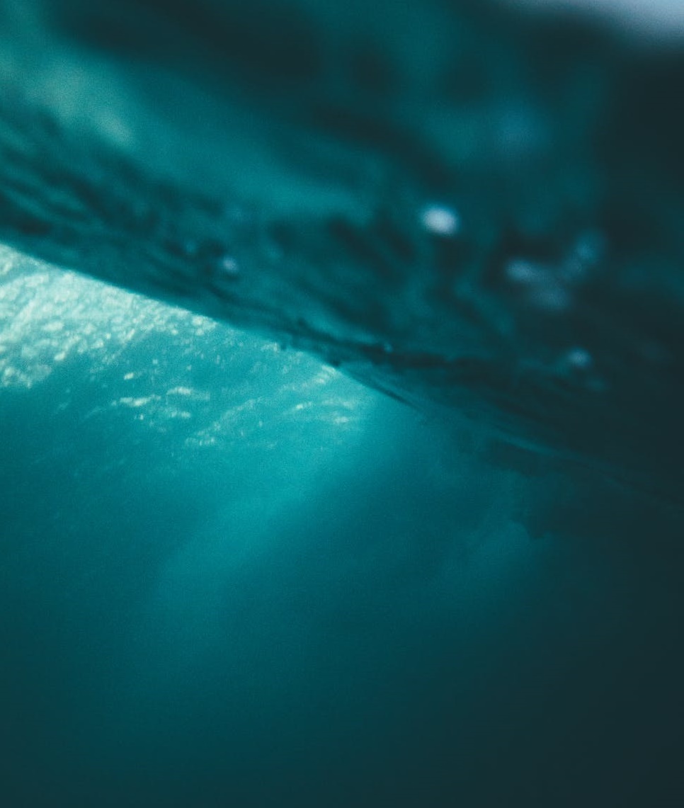 人到中年，淪陷直播間-鋒巢網