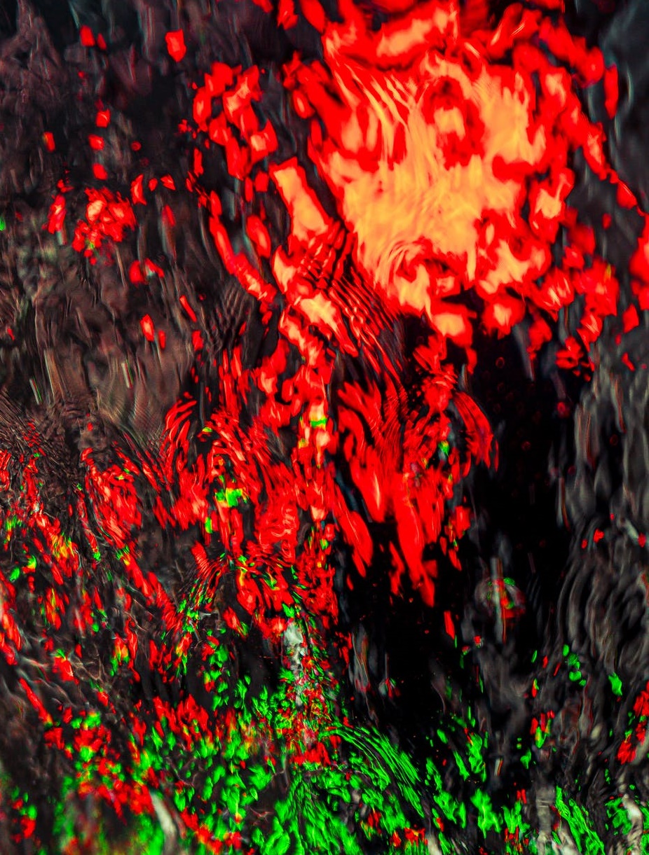 直擊上海車展 | 造車新舊勢力同場Battle,你為誰買單-鋒巢網