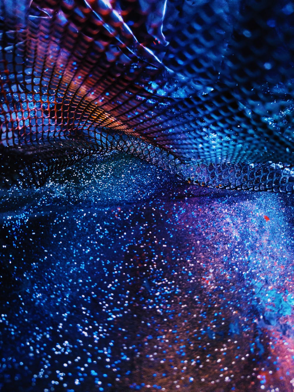 “慢半拍”泡泡瑪特-鋒巢網