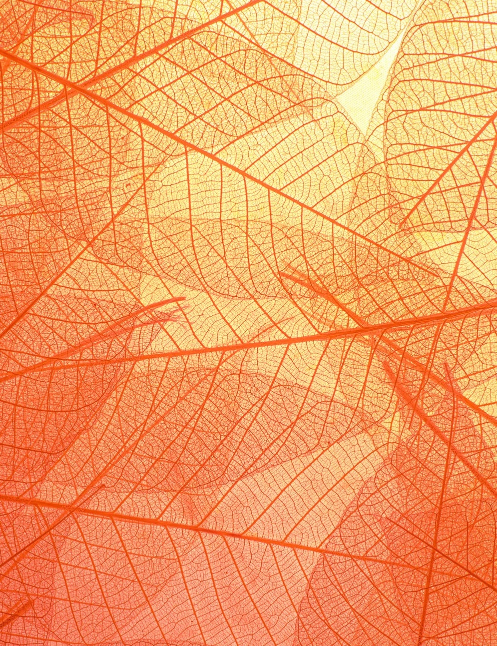 美團冤嗎?-鋒巢網