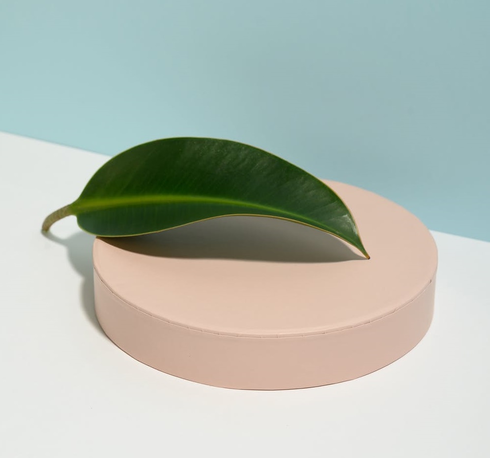 攜程還有新故事嗎？-鋒巢網(wǎng)