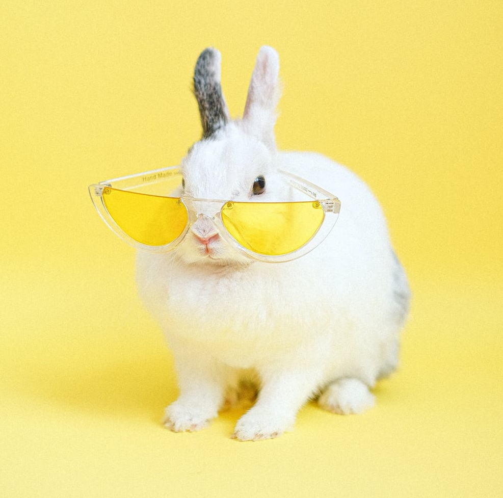 在直播間里找真愛(ài)?-鋒巢網(wǎng)